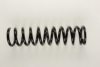 BILSTEIN 36-129546 Coil Spring